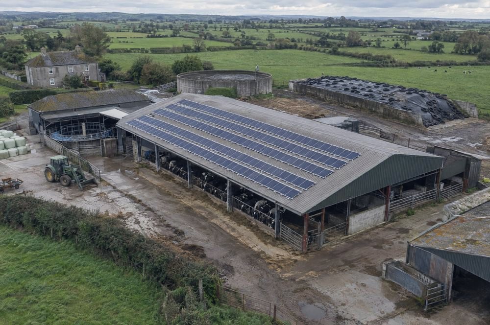A dairy farm shed with solar panels on the roof
